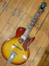 Ibanez Howard Roberts