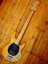 Music Man Sting Ray