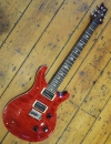 PRS Custom 24 birds