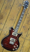 Washburn W1-61V